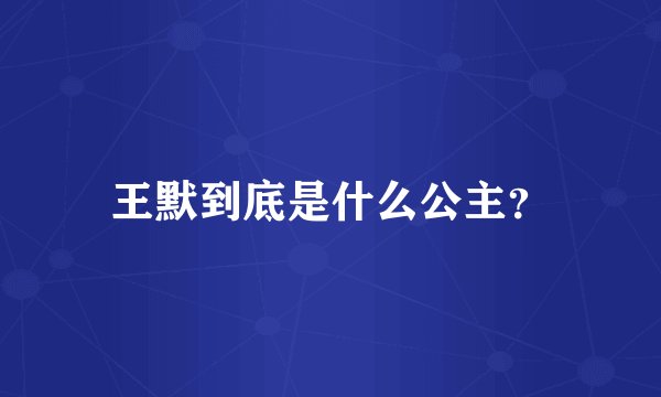 王默到底是什么公主?