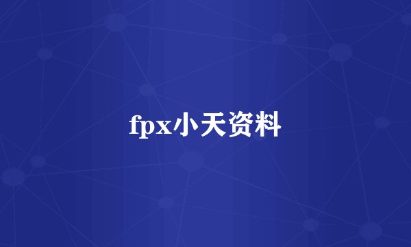 fpx小天资料