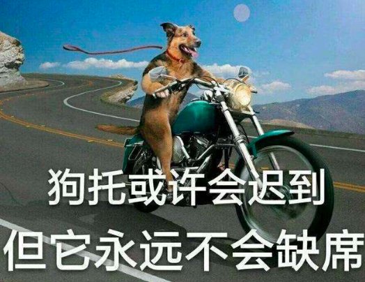 什么是狗拖