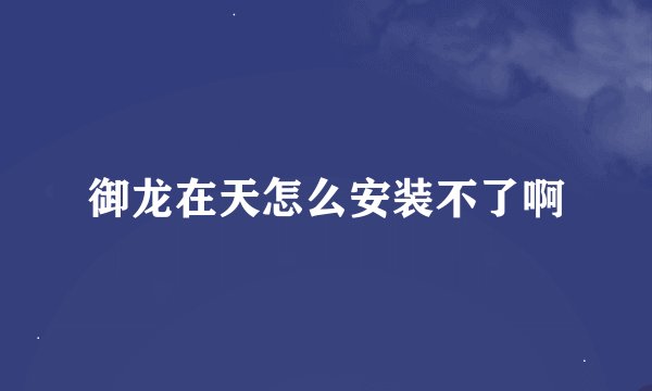 御龙在天怎么安装不了啊