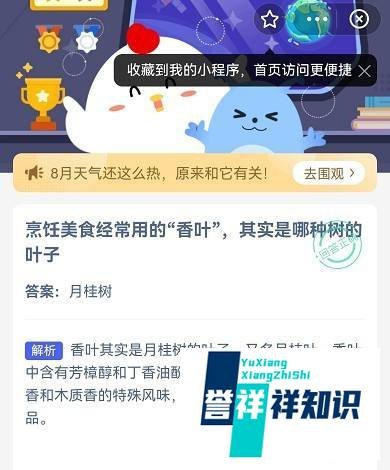 烹饪美食经常用的“香叶”，是哪种树的叶子？