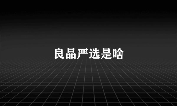 良品严选是啥