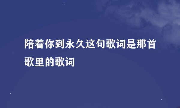 陪着你到永久这句歌词是那首歌里的歌词