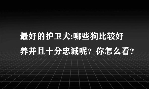 最好的护卫犬:哪些狗比较好养并且十分忠诚呢?你怎么看?