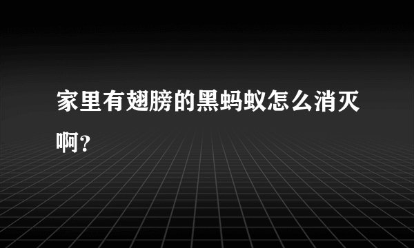 家里有翅膀的黑蚂蚁怎么消灭啊？