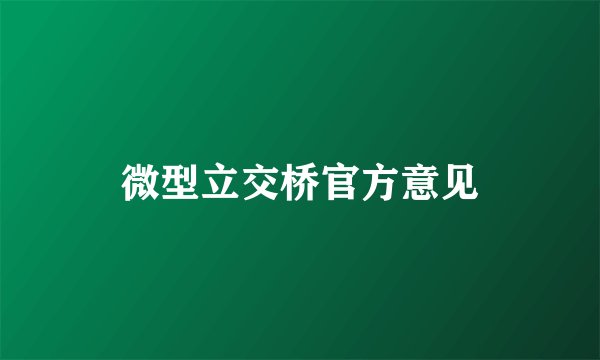 微型立交桥官方意见