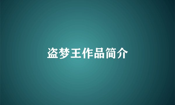 盗梦王作品简介