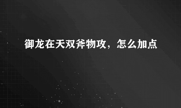 御龙在天双斧物攻，怎么加点