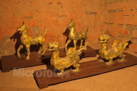 神兽孵化专家的作品目录