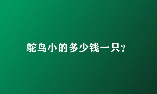 鸵鸟小的多少钱一只？