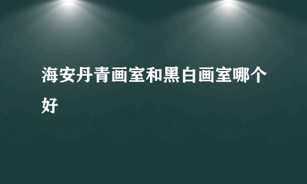 海安丹青画室和黑白画室哪个好