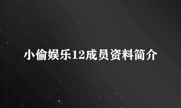 小偷娱乐12成员资料简介