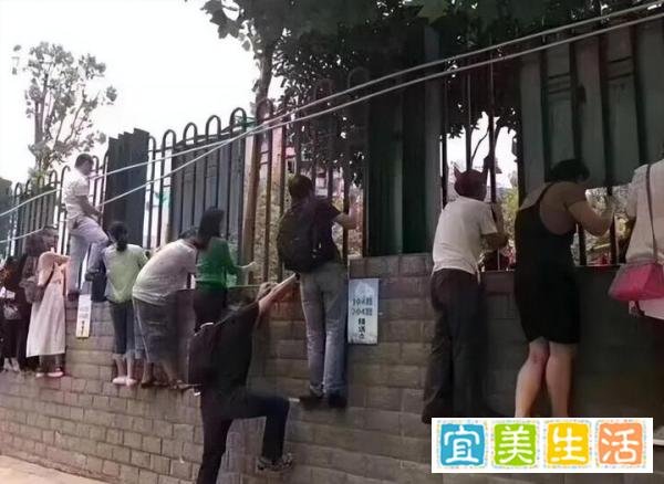 “让学生跪地爬行”老师已停职,谁来保护调皮又听话的孩子？