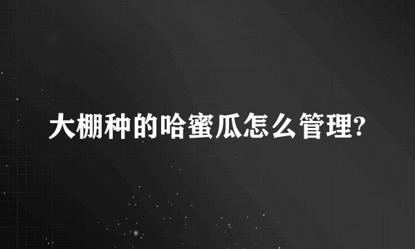 大棚种的哈蜜瓜怎么管理?