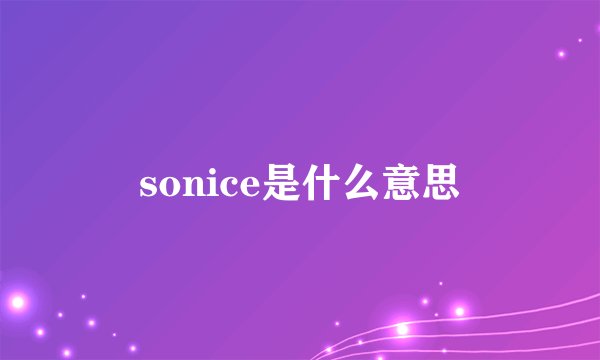 sonice是什么意思