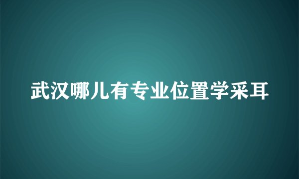 武汉哪儿有专业位置学采耳