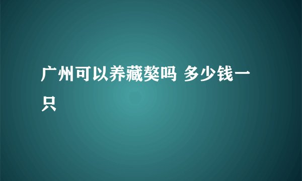 广州可以养藏獒吗 多少钱一只