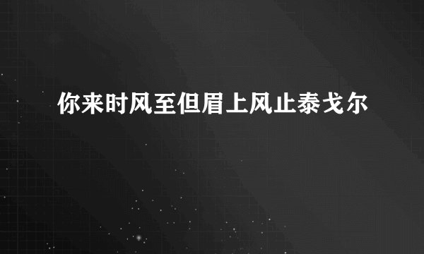 你来时风至但眉上风止泰戈尔