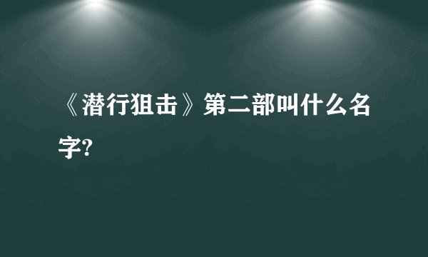 《潜行狙击》第二部叫什么名字?