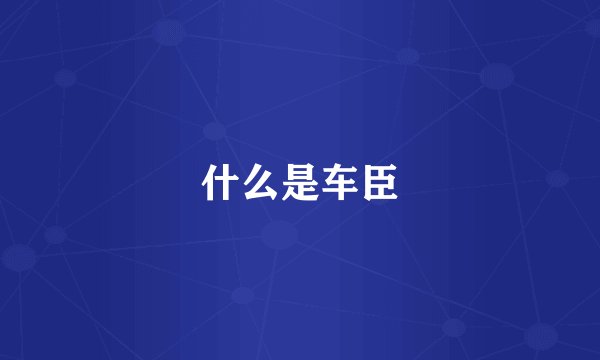 什么是车臣