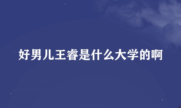 好男儿王睿是什么大学的啊
