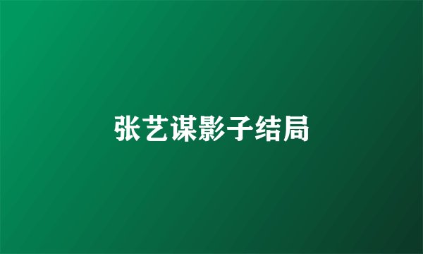 张艺谋影子结局