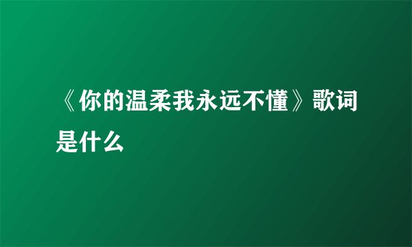 《你的温柔我永远不懂》歌词是什么