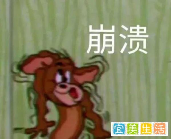 【广外考研论坛】专硕没有学硕含金量高?学硕和专硕的区别一定要搞明白!