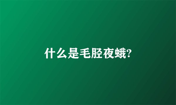 什么是毛胫夜蛾?