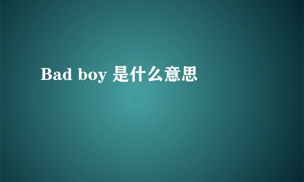 Bad boy 是什么意思