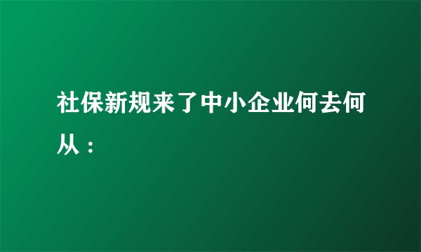社保新规来了中小企业何去何从 :