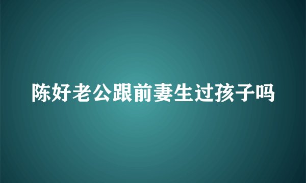 陈好老公跟前妻生过孩子吗