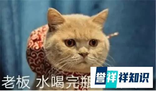 农夫山泉赴港IPO：“大自然的搬运工”把自己搬到了港交所