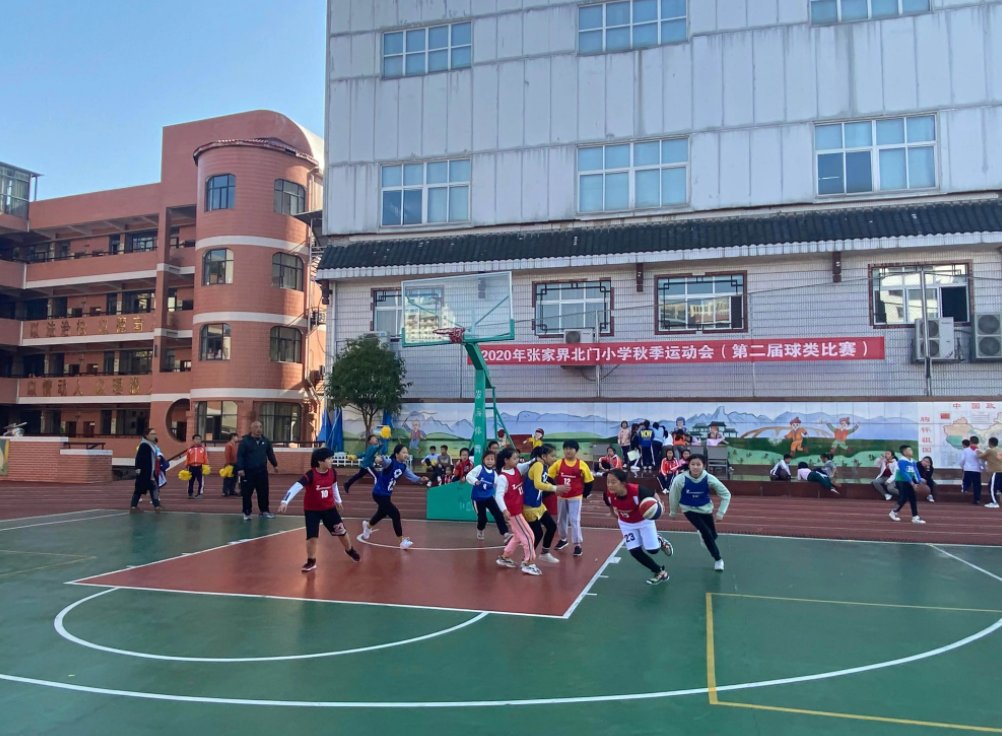 小学生入学方式和就读方式如何填写