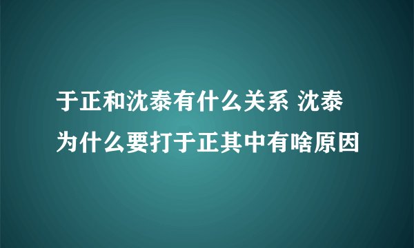 于正和沈泰有什么关系 沈泰为什么要打于正其中有啥原因