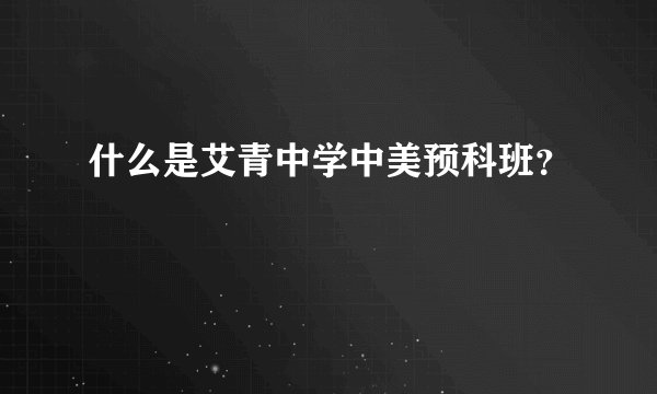 什么是艾青中学中美预科班？