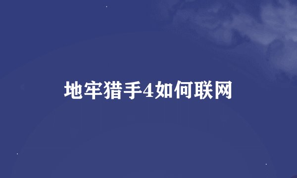 地牢猎手4如何联网