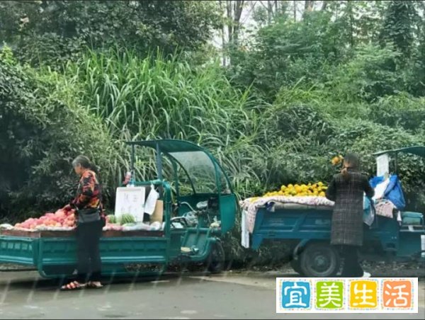 湖南一城管当街掌掴商贩,被打商贩不还手,最新消息来了