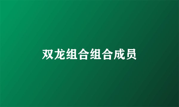 双龙组合组合成员