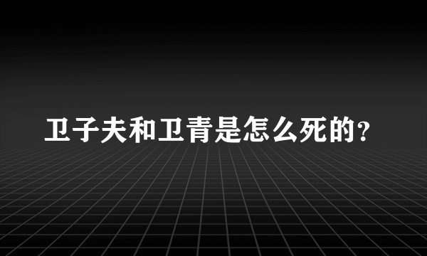卫子夫和卫青是怎么死的？