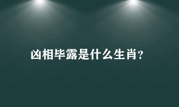 凶相毕露是什么生肖？