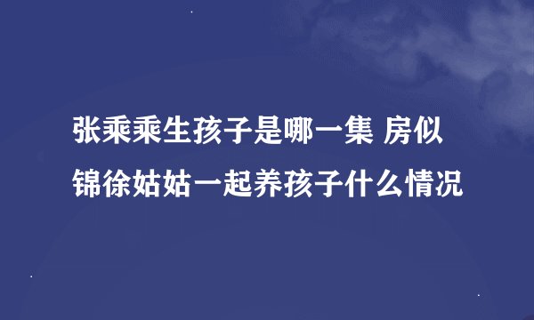 张乘乘生孩子是哪一集 房似锦徐姑姑一起养孩子什么情况