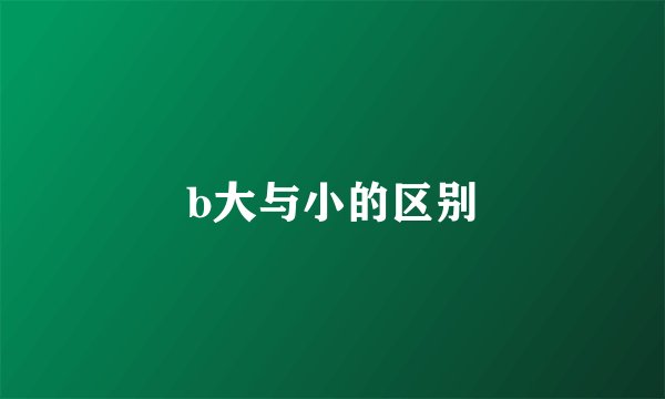 b大与小的区别