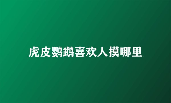 虎皮鹦鹉喜欢人摸哪里