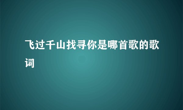 飞过千山找寻你是哪首歌的歌词
