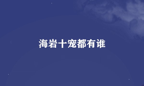 海岩十宠都有谁