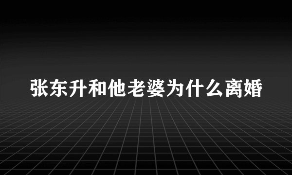 张东升和他老婆为什么离婚