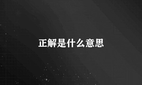 正解是什么意思