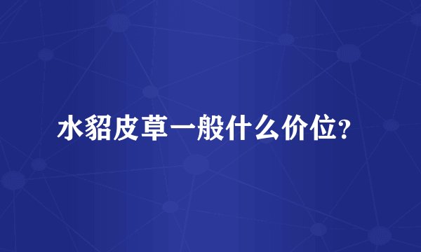 水貂皮草一般什么价位？