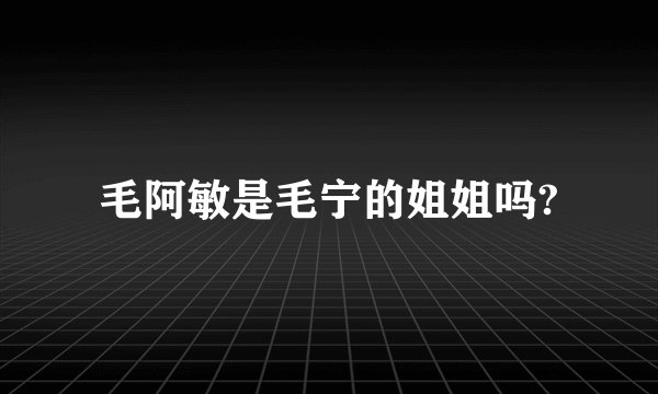 毛阿敏是毛宁的姐姐吗?